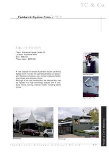 马术项目设计咨询服务 打造专业与创新并存的马术体验