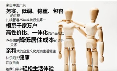 品牌战略咨询 从专业服务到市场共鸣的进阶之道